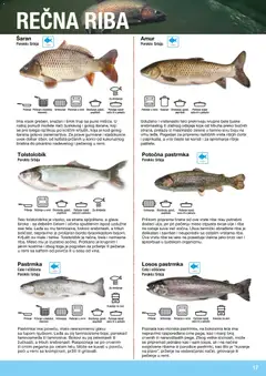 Metro riba i plodovi mora - pregled Metro kataloga - važi od 10.12.2025 | Strana: 17 | Proizvode: Sto, Losos, Ulje, Riba