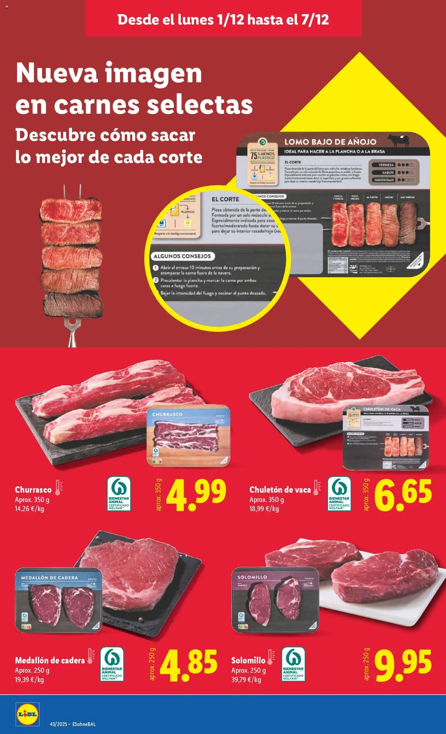Lidl folleto │ válido desde el 01.12.2025 | Página: 6 | Productos: Plancha, Bandeja