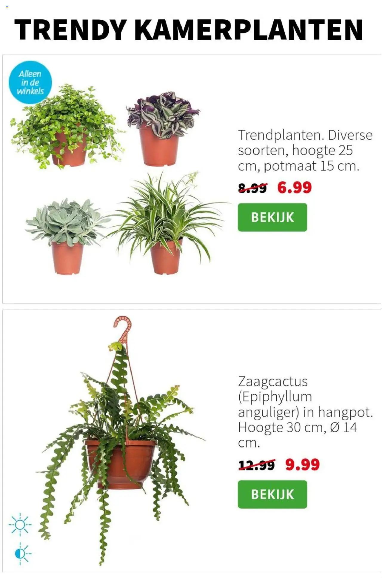  | Pagina: 3 | Producten: Kamerplanten