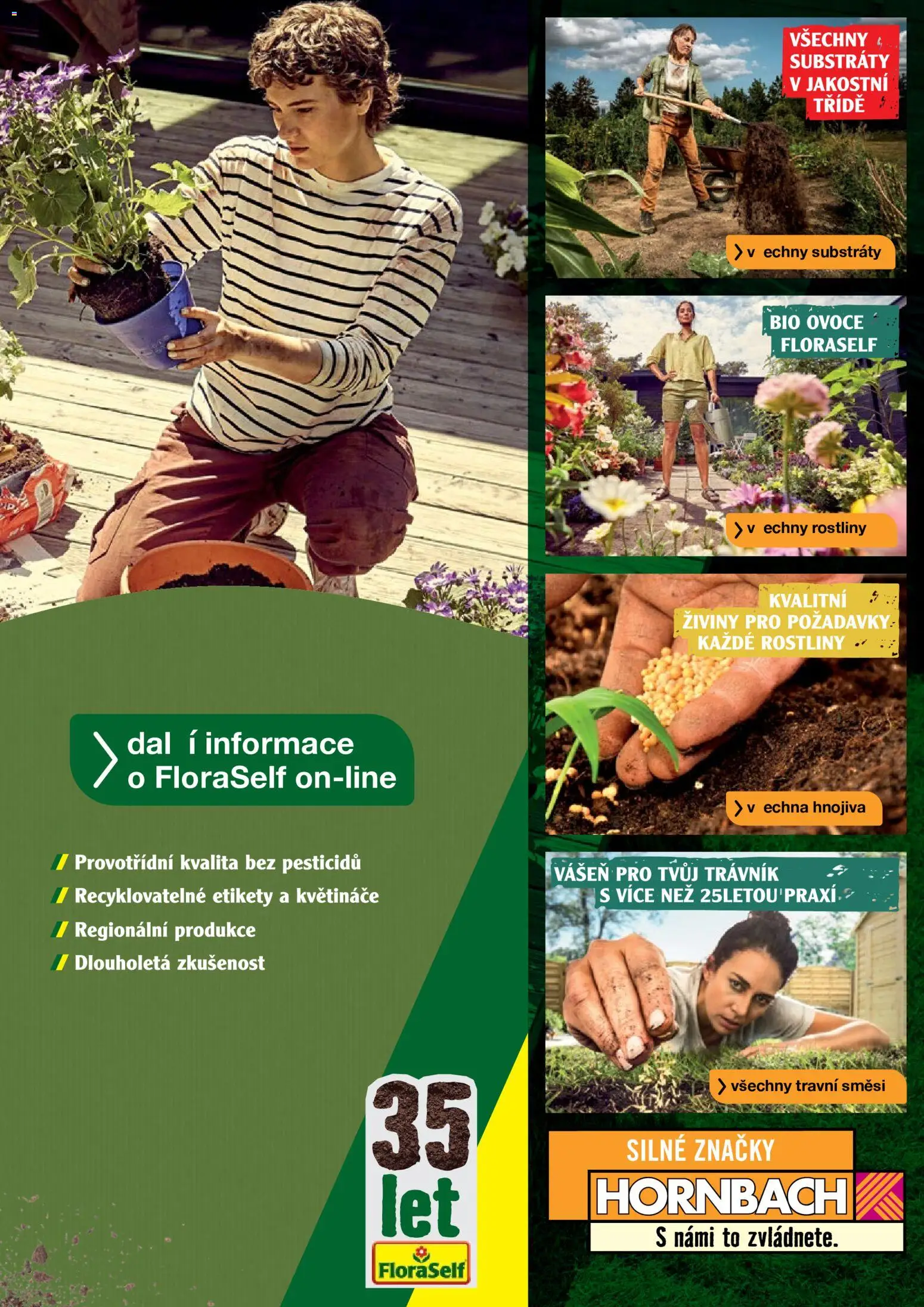 HORNBACH leták - Zahrada od 01.01.2026 | Strana: 31 | Produkty: Ovoce, Květináče, Rostliny