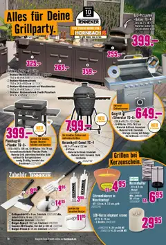 Hornbach Aktionen ab 07.07.2025 | Seite: 10