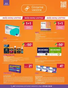 Gintarinė leidinys galioja nuo 01.11.2025