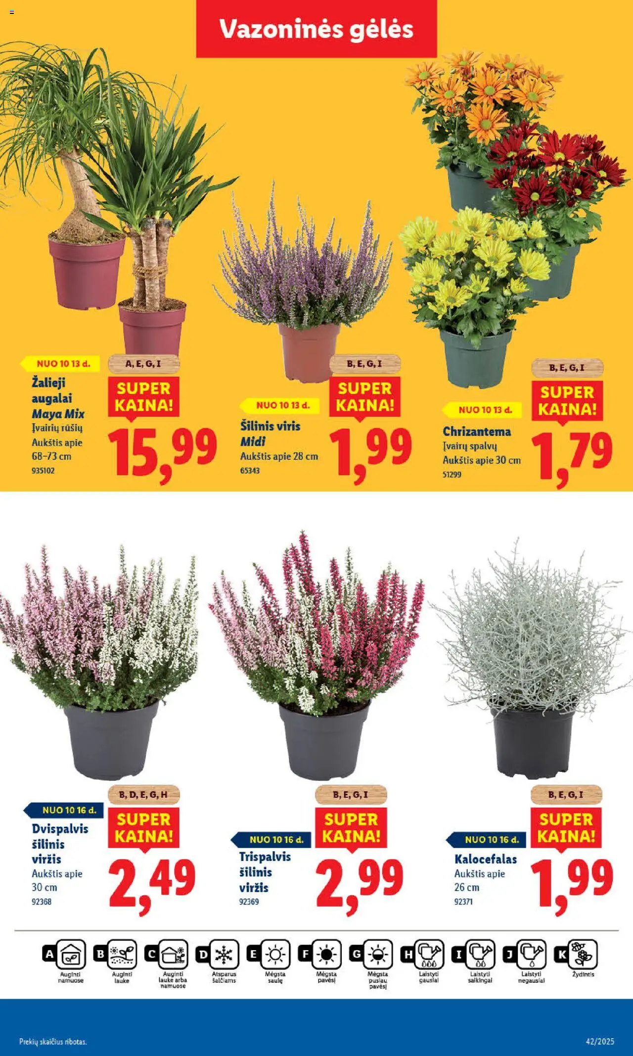 LIDL akcijos nuo 16.10.2025 | Puslapis: 59