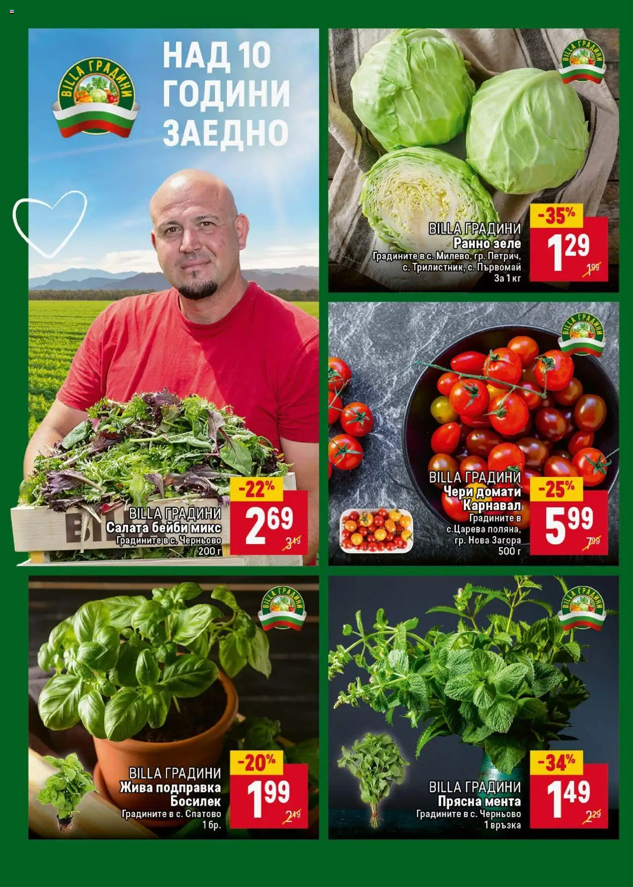  | Страница: 8 | Продукти: Салата, Домати, Зеле, Подправка