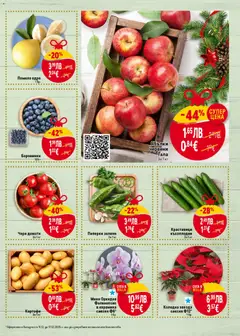 Преглед на Чери домати, Чери домати За 1 кг - Офертите са валидни от 11.12.2025 | Страница: 9 | Продукти: Краставици, Картофи, Домати, Орхидея