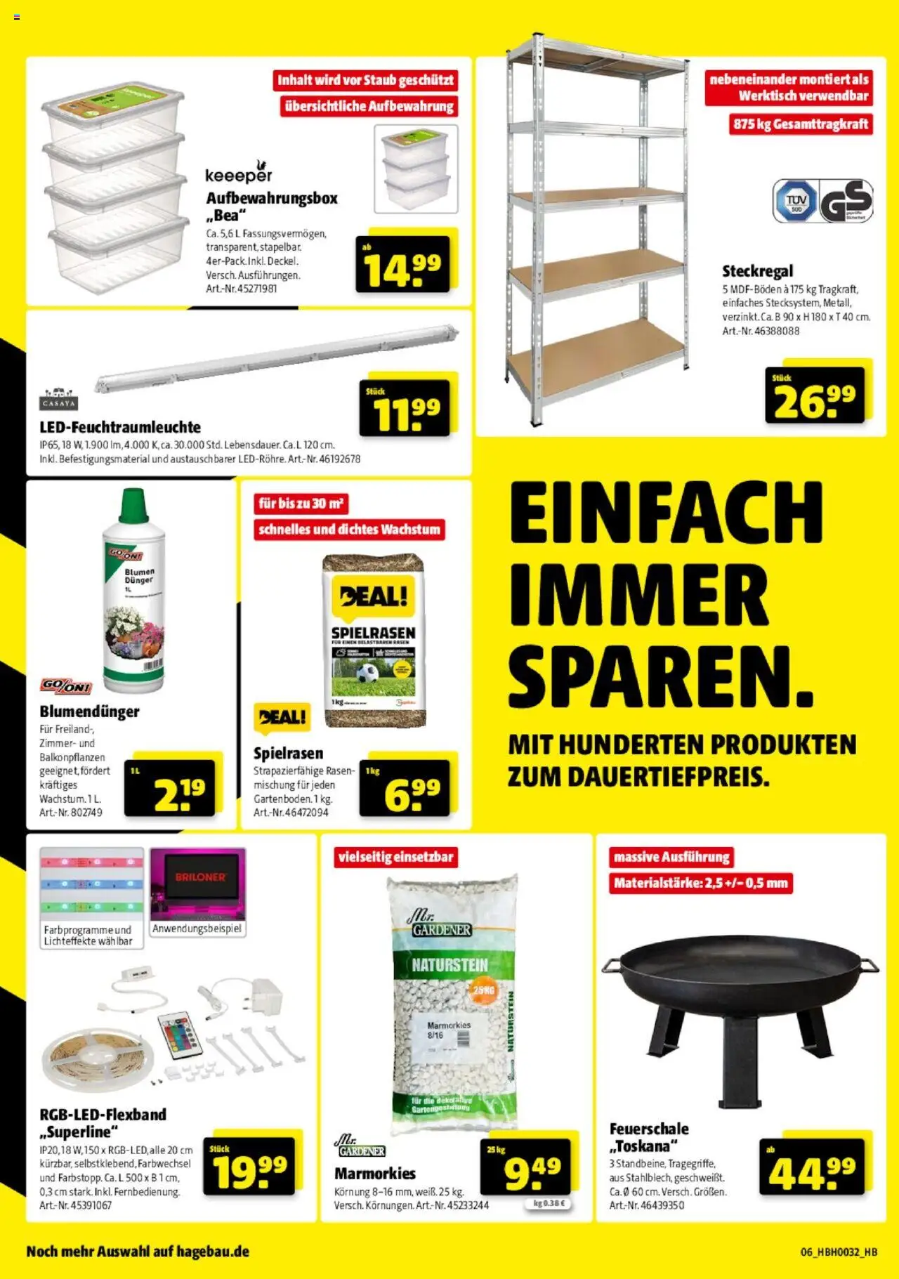 Hagebau Prospekt Lübeck - gültig ab dem 02.08.2025 | Seite: 6 | Produkte: Blumen