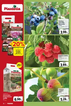Ponuda Plodine - Pregled kataloga iz trgovine Plodine, vrijedi od 11.03.2026 | Stranica: 12