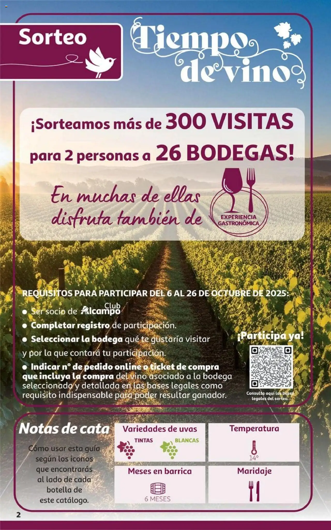 Alcampo - HG La Rioja │ válido desde el 06.10.2025 | Página: 2 | Productos: Τζίντζερ, Vino, Té