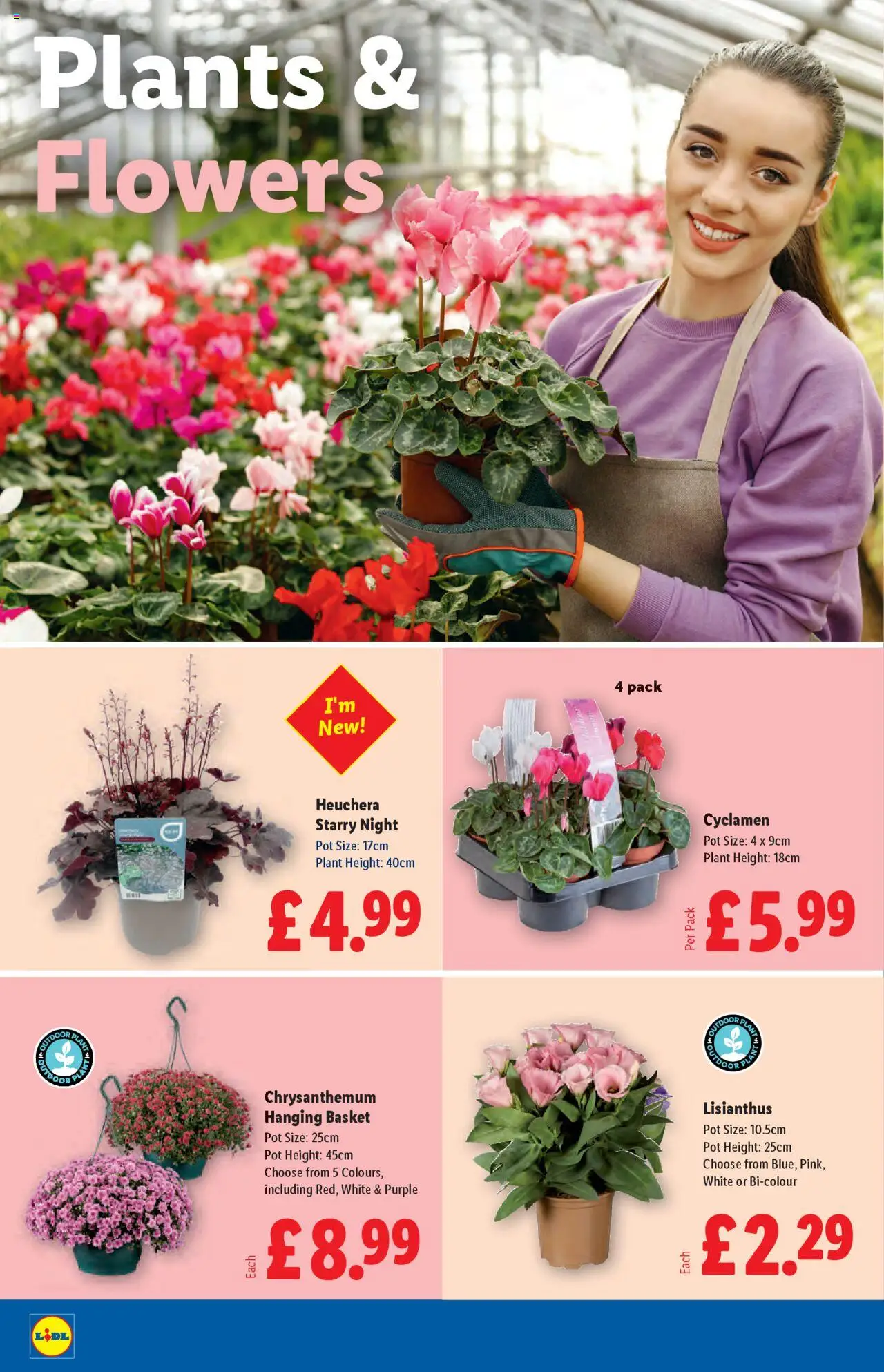  | Page: 22 | Products: Basket, Pot, Door