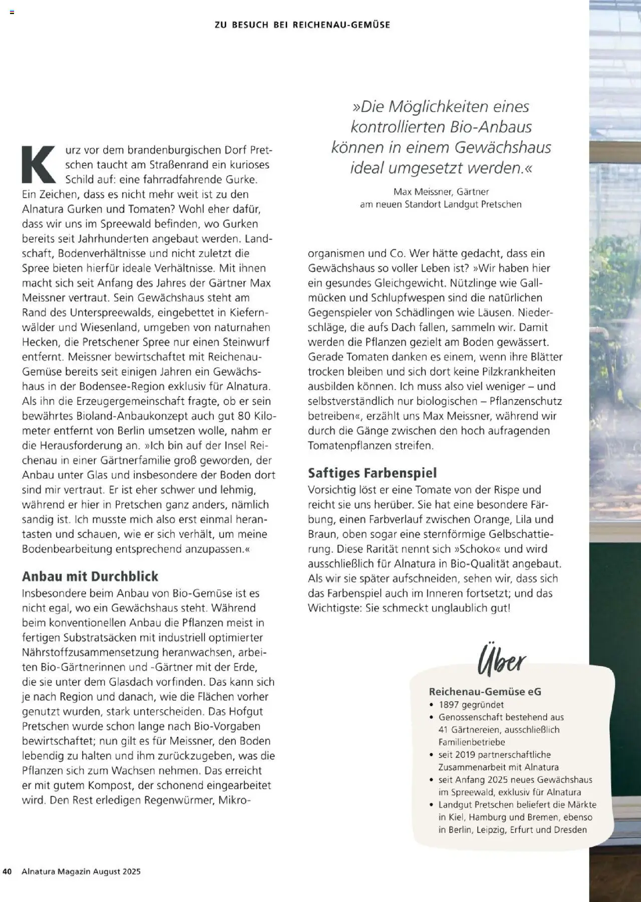Alnatura Prospekt - gültig ab dem 01.08.2025 | Seite: 40 | Produkte: Tomaten, Gemüse, Gurken