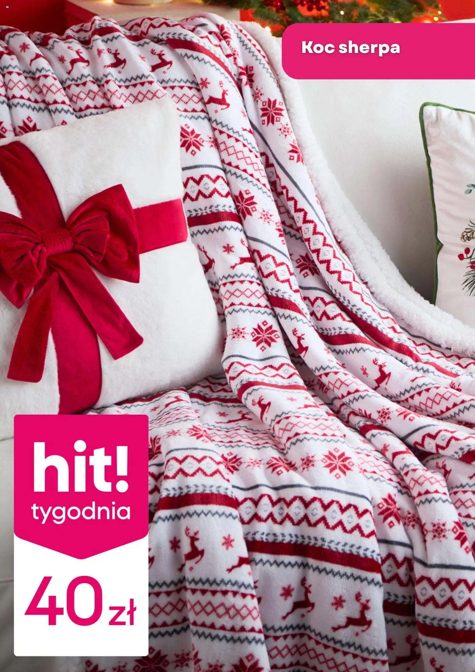 Pepco Gazetka od 06.11.2025 | Strona: 3 | Produkty: Koc