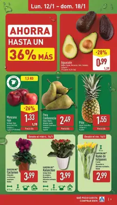 Vista previa Aguacate, Origen: España, Marruecos, Chile, Colombia. Categoría: I. 227 g aprox. válido desde el 12.01.2026 | Página: 3