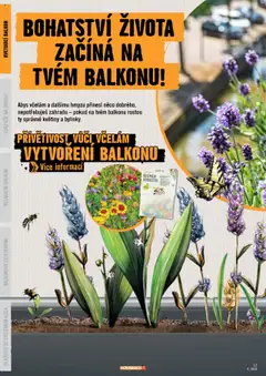 Náhled letáku HORNBACH leták - Balkón od 13.08.2025 | Strana: 6 | Produkty: Květiny