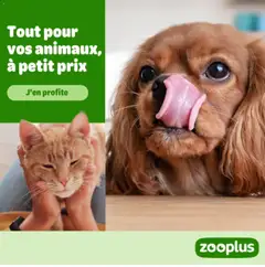Offres - Prévisualisation de Zooplus valide à partir de 24.03.2026