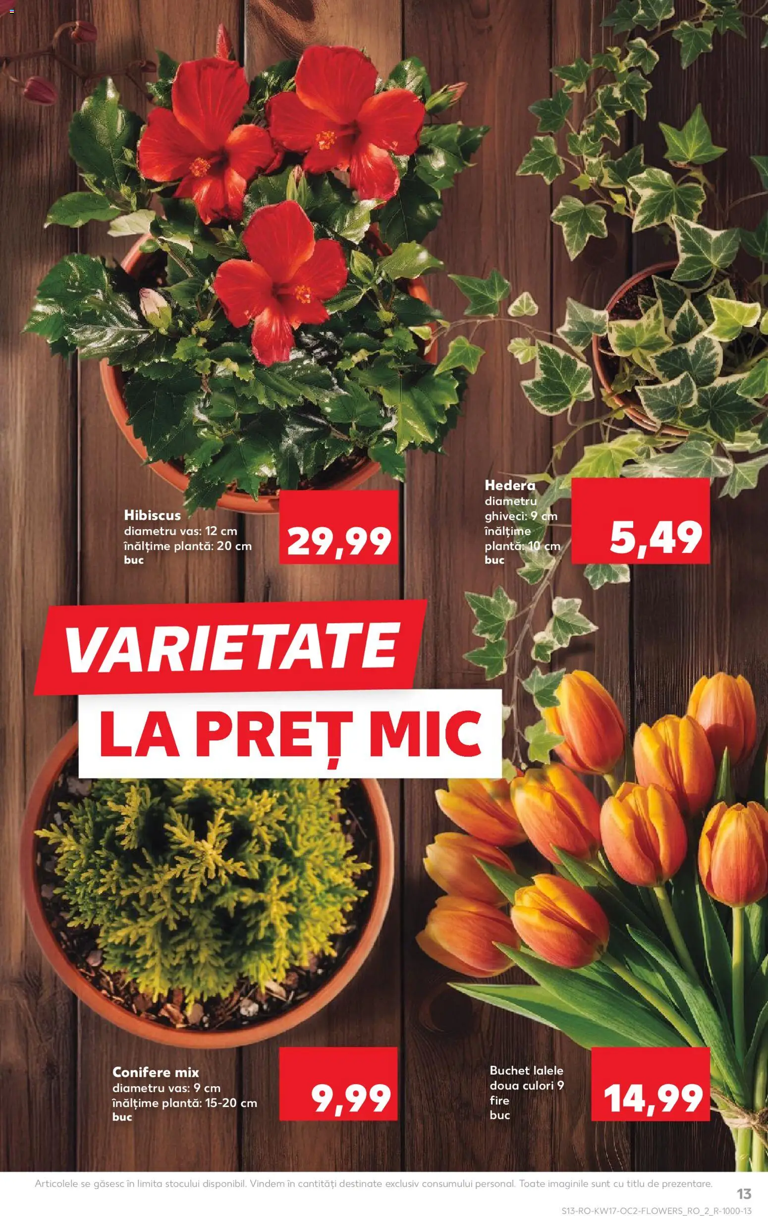 Kaufland RO akciós ujság - amely érvényes a következő dátumtól: 22.04.2026 | Oldal: 13