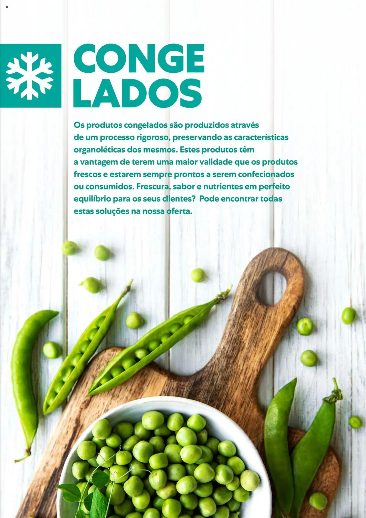 Recheio Alimentacao variada │ válido de 01.02.2024 | Página: 17