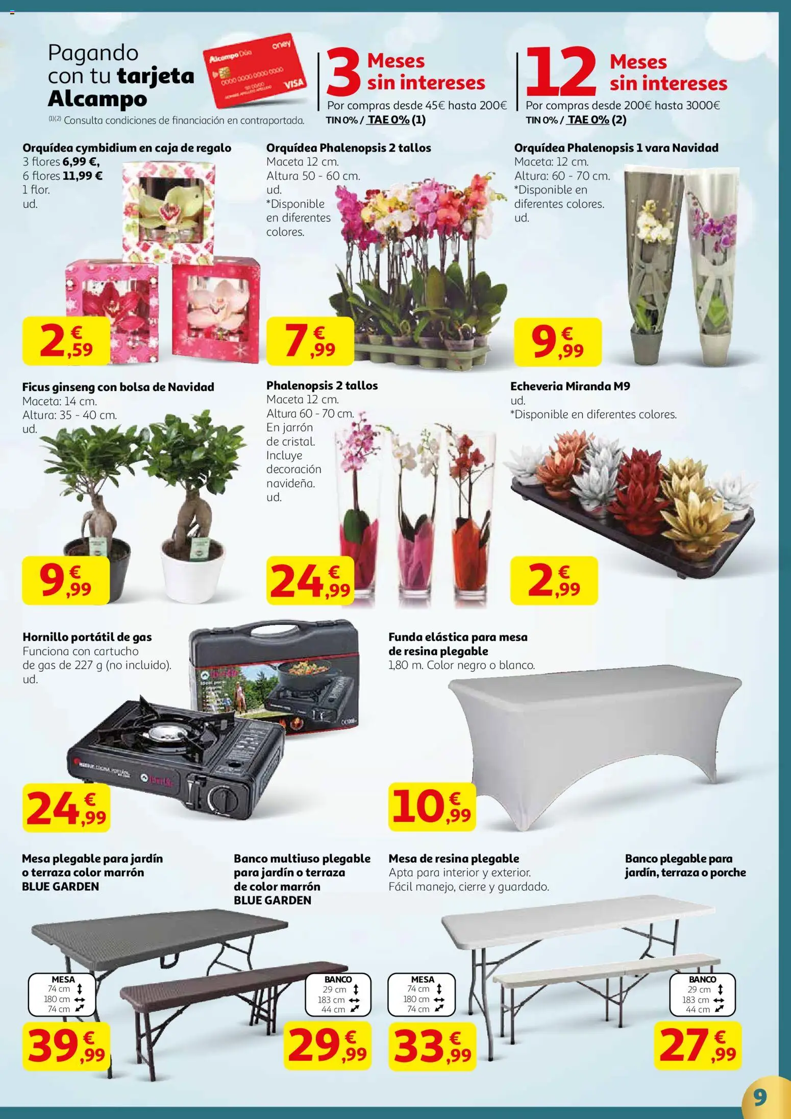 Alcampo - Regalos 2 HP catalan  │ válido desde el 18.12.2025 | Página: 9 | Productos: Funda, Bolsa, Mesa, Jarrón