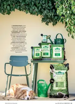 Dehner Flugblatt ab 05.03.2026 gültig | Seite: 53 | Produkte: Spiel