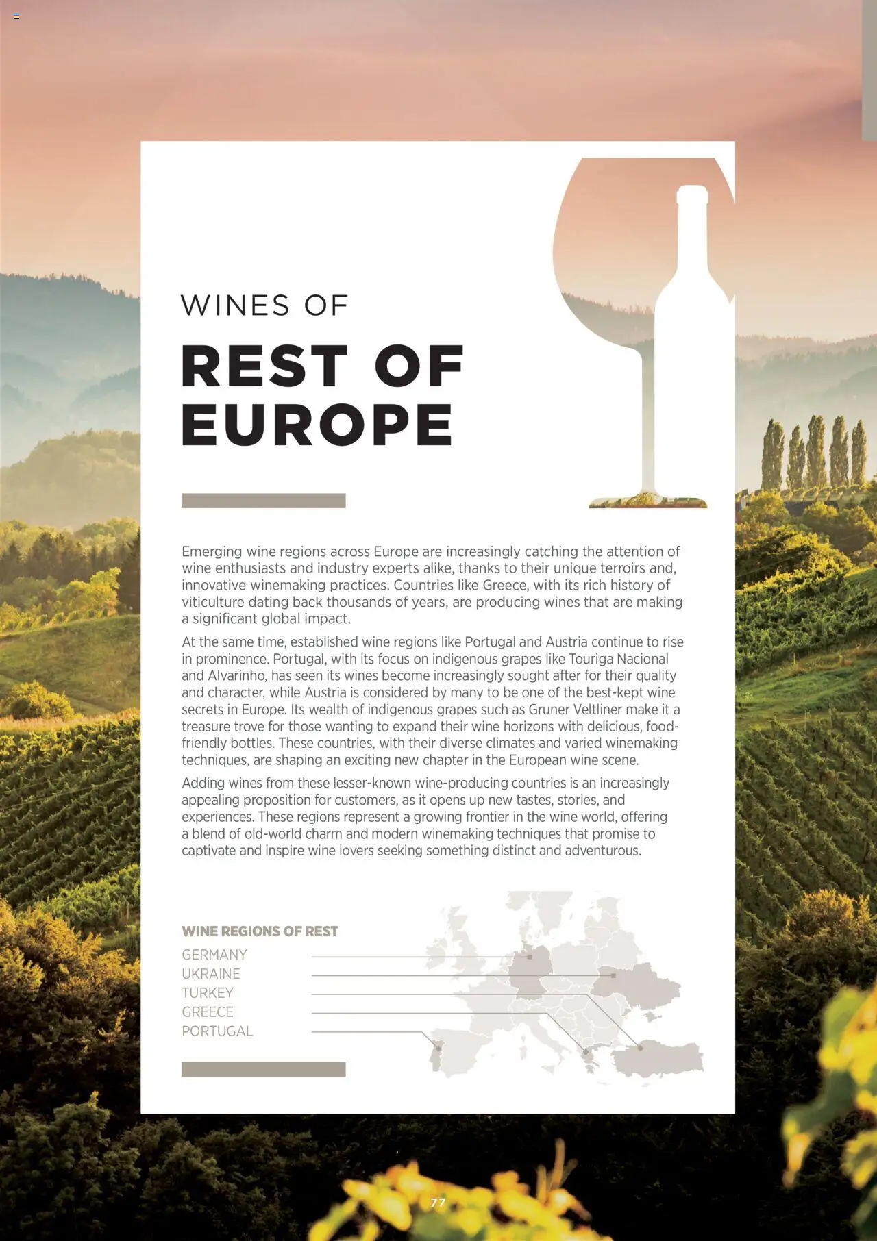  | Page: 77 | Products: Hamburger, Wine, Füstölt oldalas