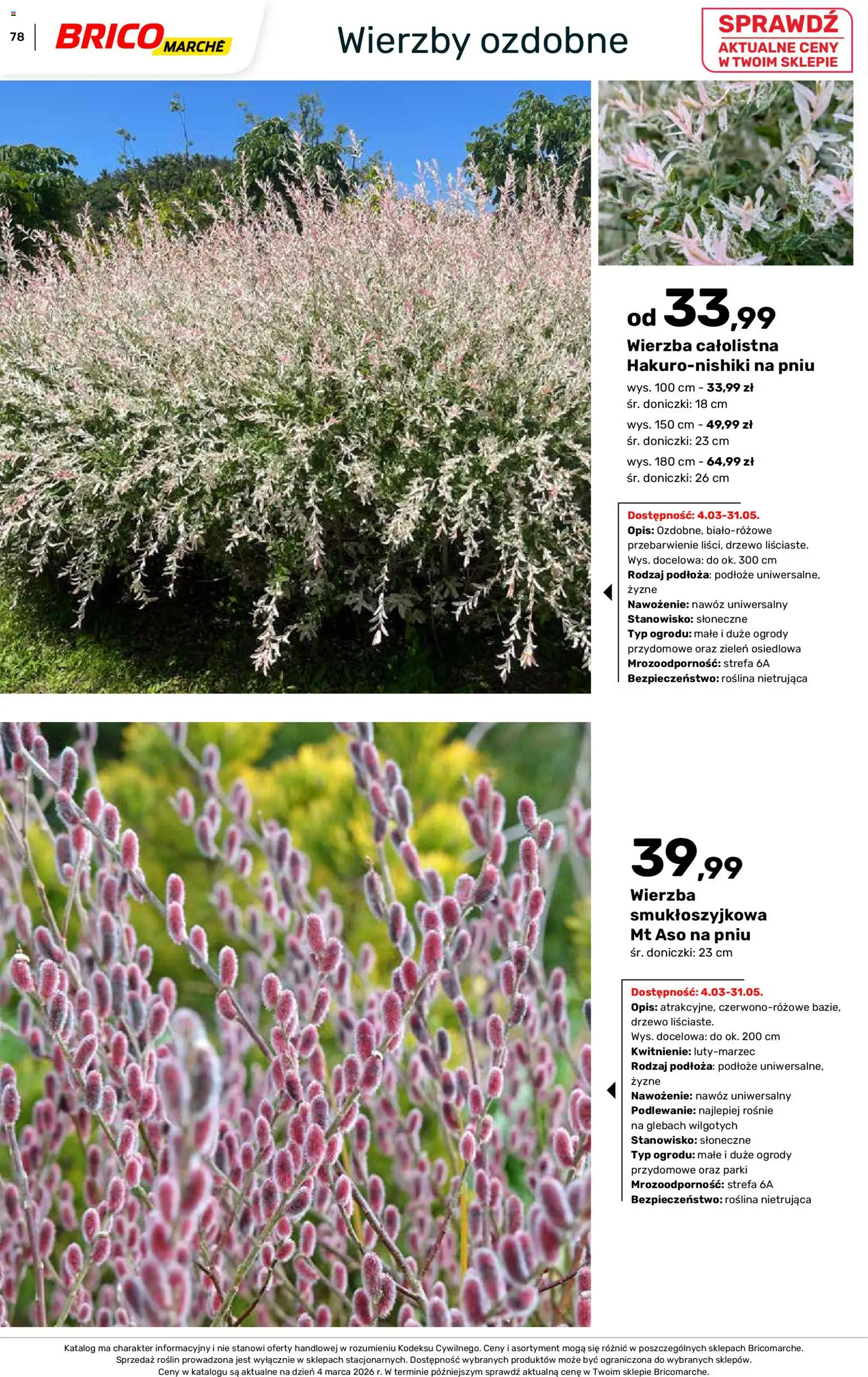 Brico Marché gazetka - Wiosna od 04.03.2026 | Strona: 78 | Produkty: Doniczki