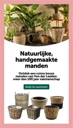 Aveve folder - Voorbeeld van een folder van Aveve, geldig van 11.02.2026 | Pagina: 14 | Producten: Manden