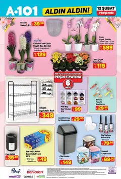 12.02.2026 tarihinden itibaren geçerli olan A101 kataloğu önizlemesi | Sayfa: 13