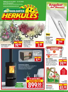HERKULES Bau & Garten ab 20.10.2025 gültig