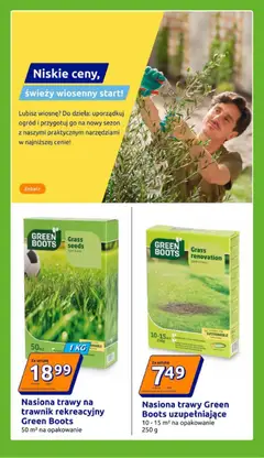 Pogląd oferty "Action Gazetka" - ważna od 28.01.2026 | Strona: 17 | Produkty: Trawy, Nasiona