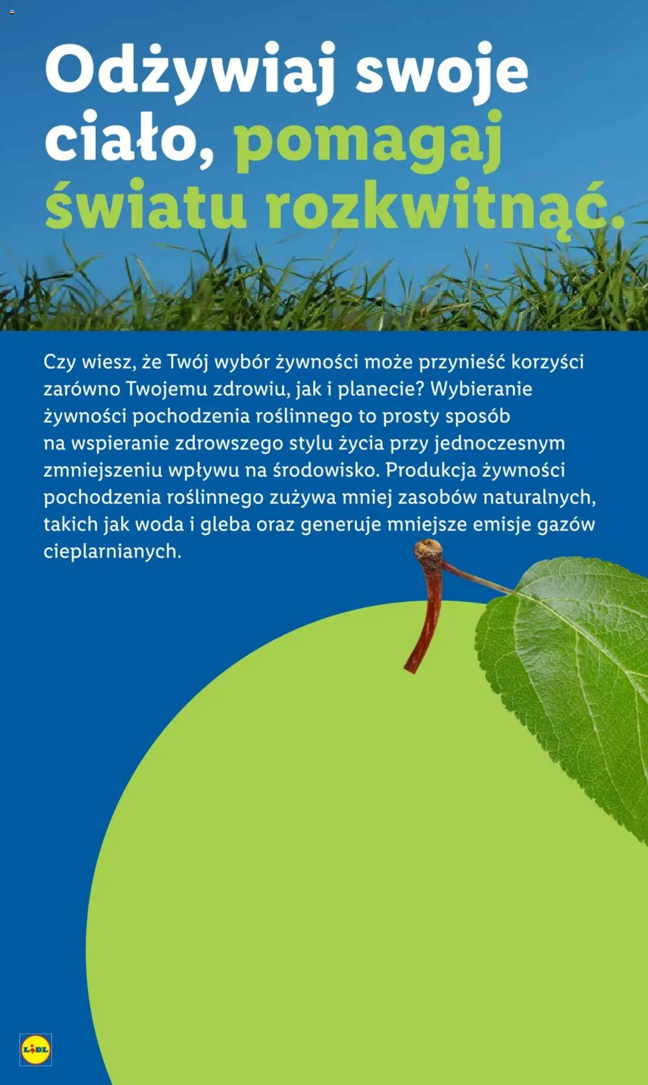 Lidl Gazetka od 25.08.2025 | Strona: 64