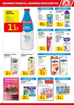 Vista previa Alcampo - HG Pio XII Unificado  válido desde el 23.10.2025 | Página: 34 | Productos: Leche entera, Δοχείο φοντί, Arroz, Té