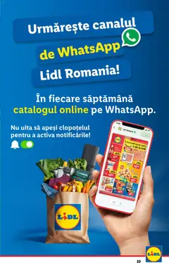 Catalog Lidl – valabil de la 14.07.2025 | Pagină: 89