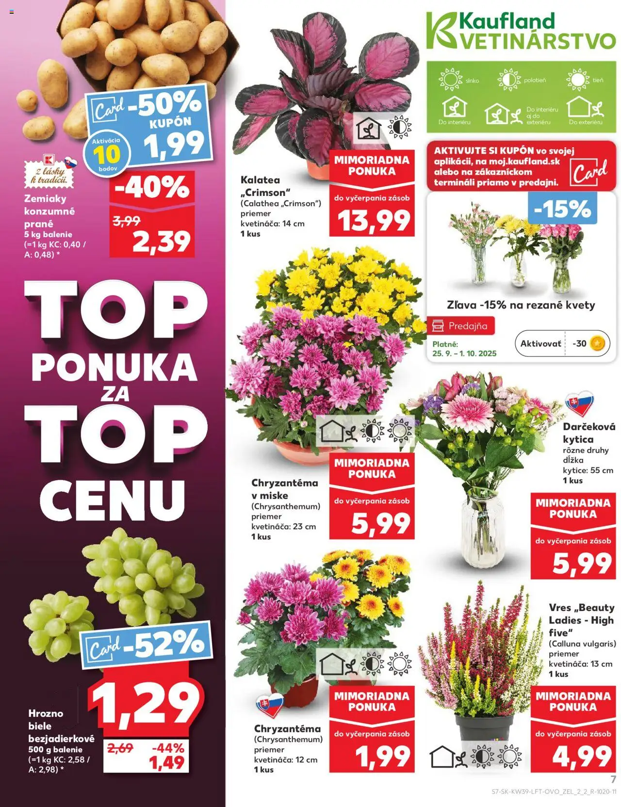 Nové Kaufland akcie – leták je platný od 25.09.2025 | Strana: 7 | Produkty: Zemiaky, Kvety, Hrozno