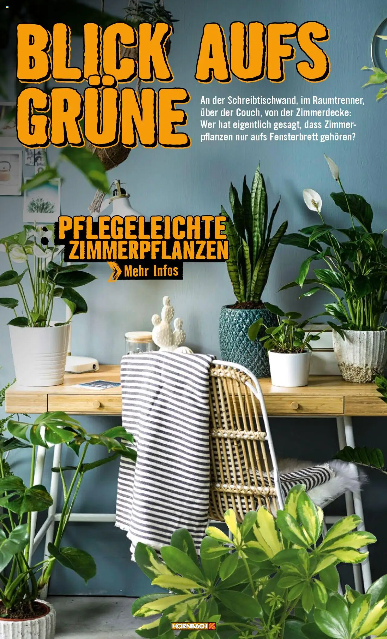 Hornbach Wände 2024 gültig ab 28.10.2024 | Seite: 50