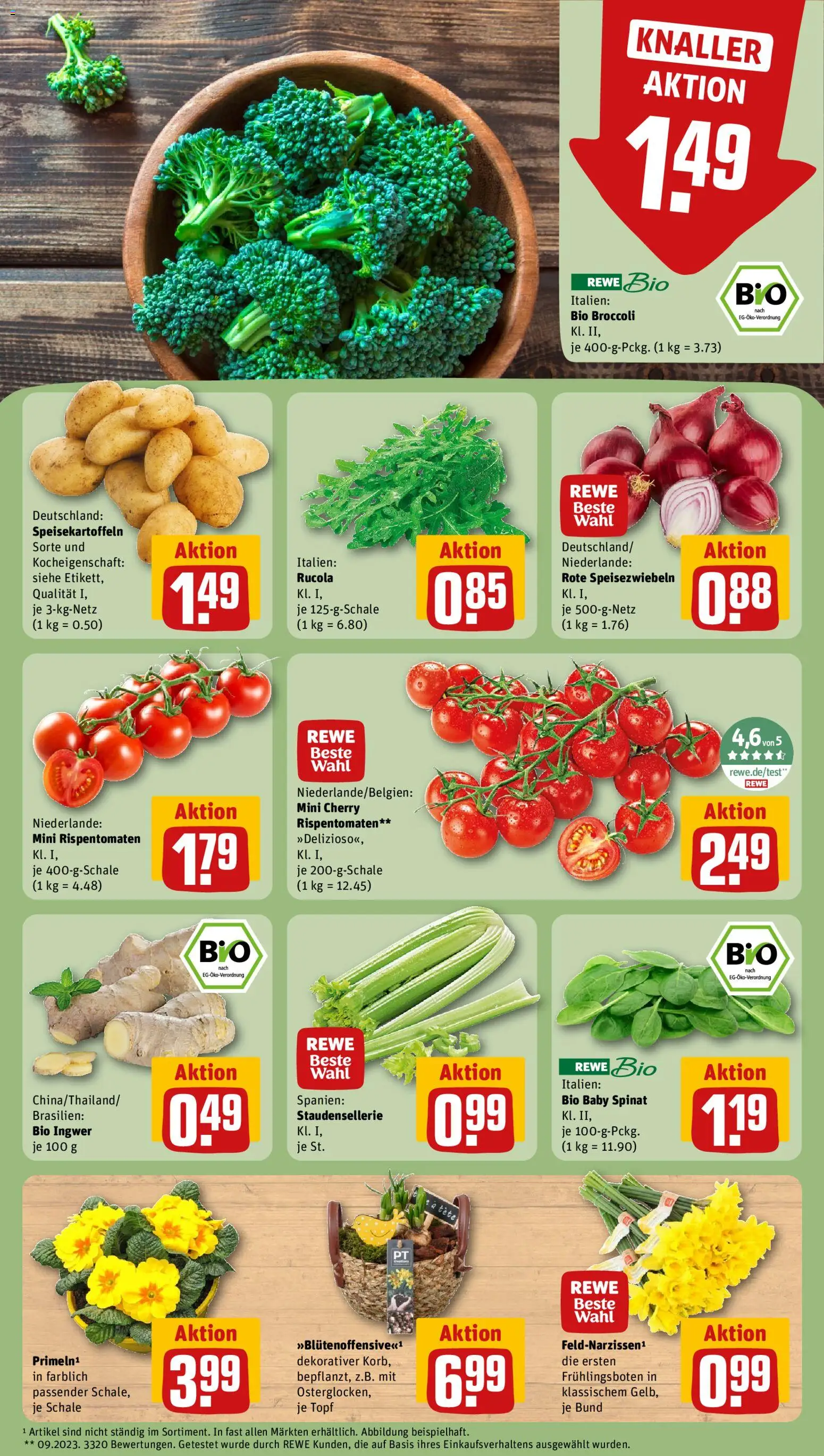 Rewe Prospekt 	 – gültig ab 26.01.2026 | Seite: 7 | Produkte: Rucola, Korb