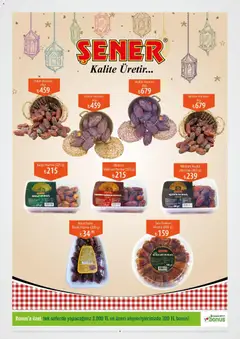 04.02.2026 tarihinden itibaren geçerli olan Özdilek kataloğu önizlemesi | Sayfa: 9