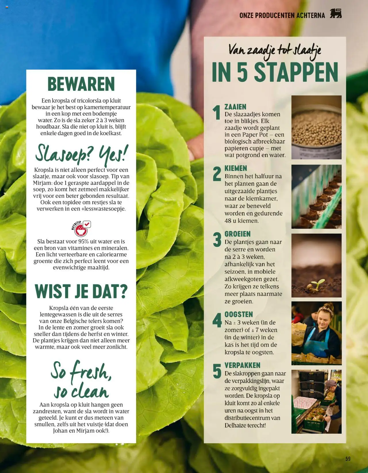  | Pagina: 59 | Producten: Aardappel, Sla, Pot