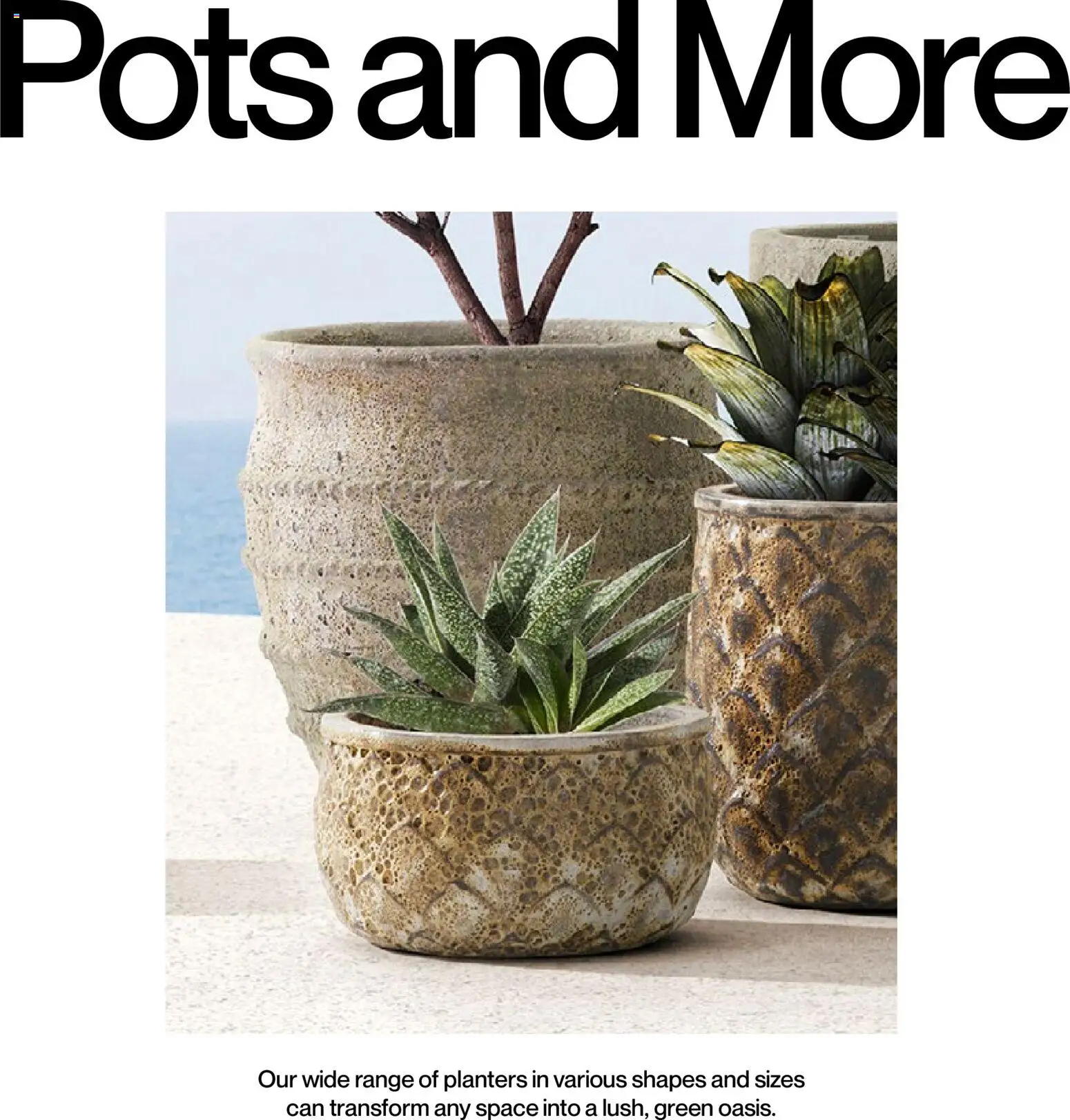 Mudo - Katalog Bahçe 2026  - 01.01.2026 tarihinden itibaren geçerlidir | Sayfa: 113