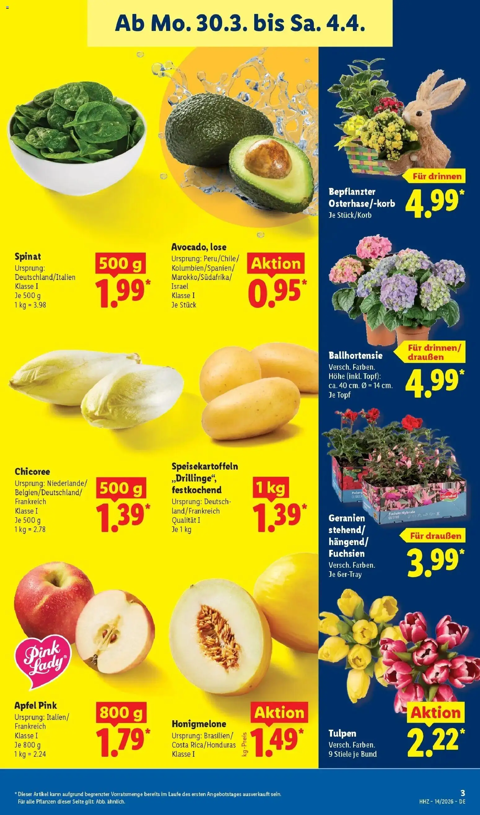 Lidl Prospekt Rheinbrohl – gültig ab 30.03.2026 | Seite: 9 | Produkte: Äpfel, Geranien, Honigmelone
