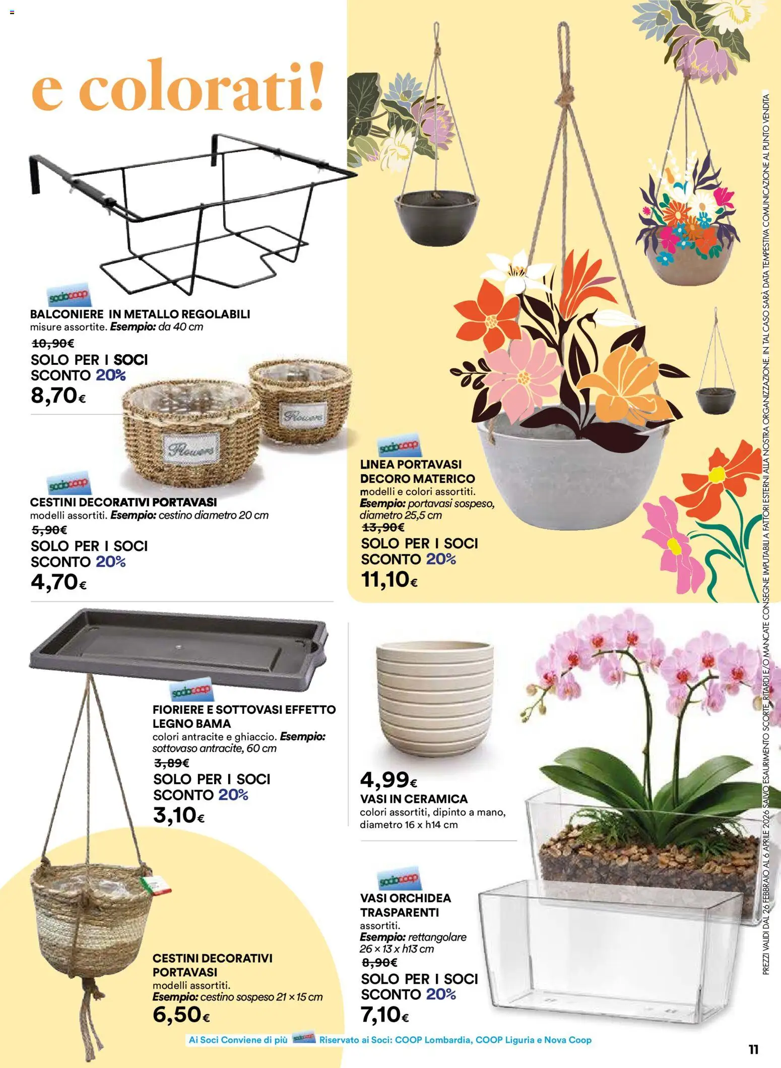 Volantino Ipercoop del 26.02.2026 | Pagina: 11 | Prodotti: Portavasi, Data, Orchidea, Cestino
