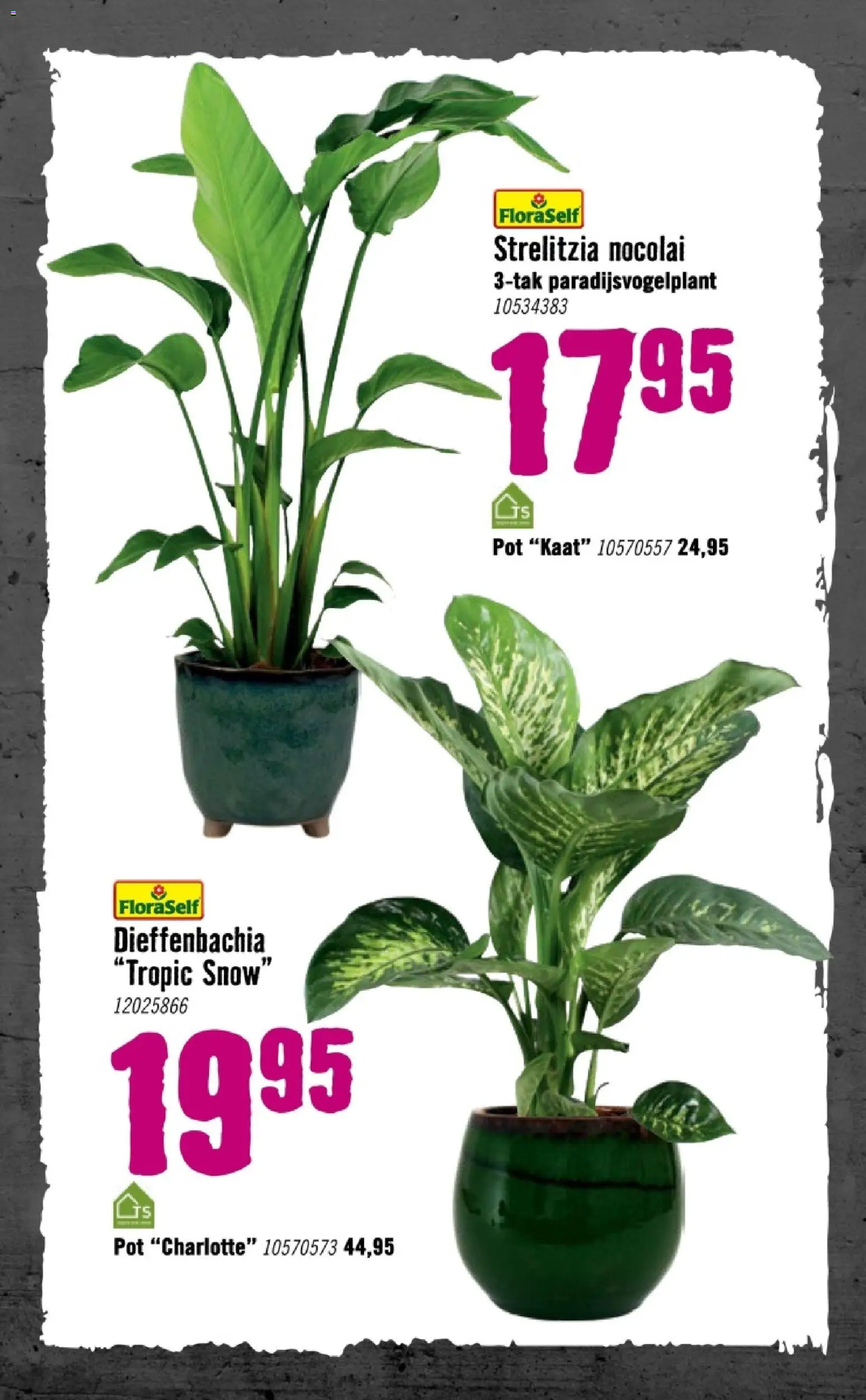 {H1} | Pagina: 78 | Producten: Pot