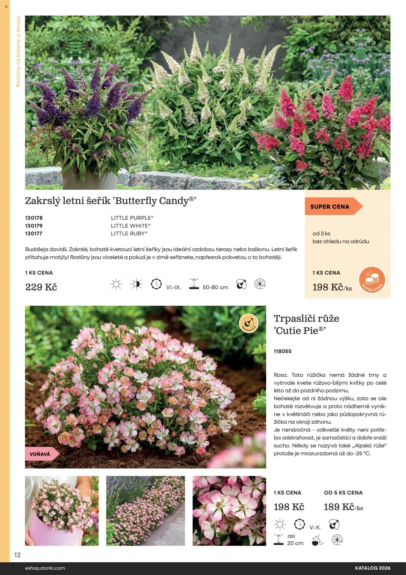 Starkl katalog od 25.02.2026 | Strana: 12 | Produkty: Rostliny