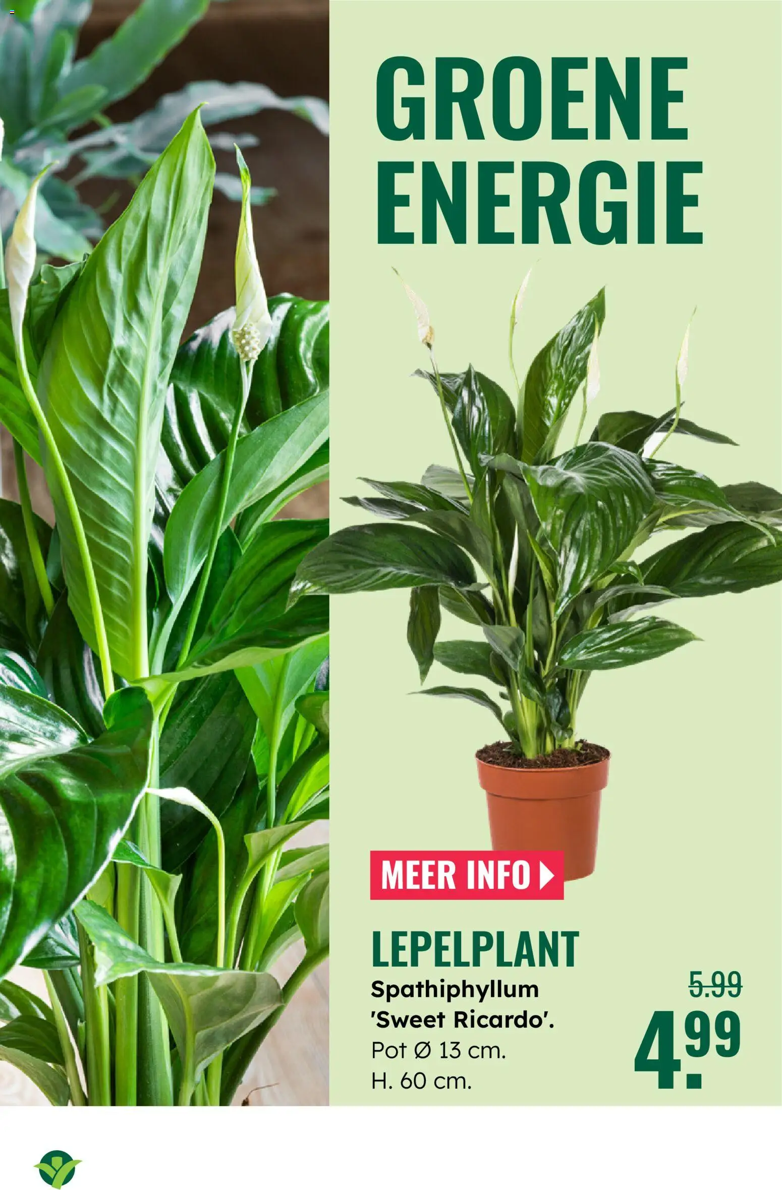 {H1} | Pagina: 16 | Producten: Pot