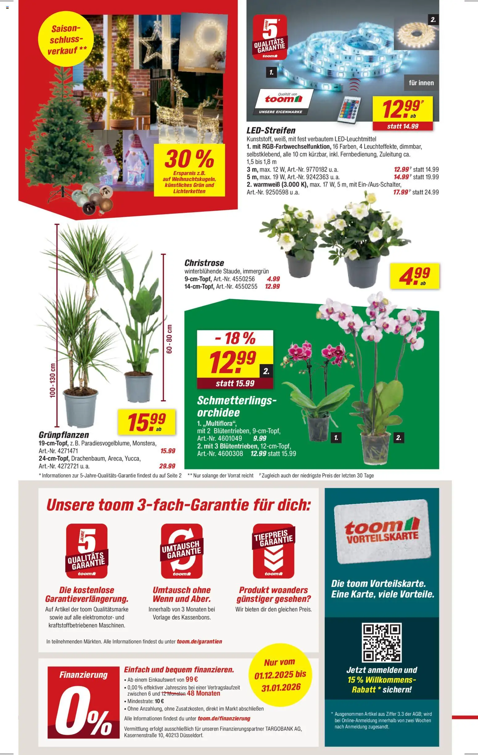 Toom Baumarkt Prospekt 	 – gültig ab 13.12.2025 | Seite: 2 | Produkte: Orchidee