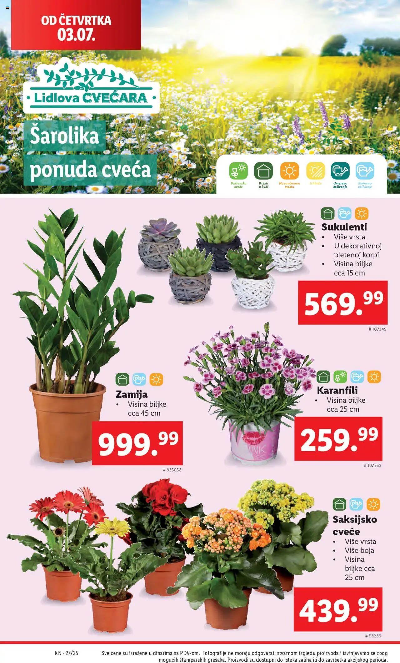 Lidl katalog - važi od 03.07.2025 | Strana: 52 | Proizvode: Cvece