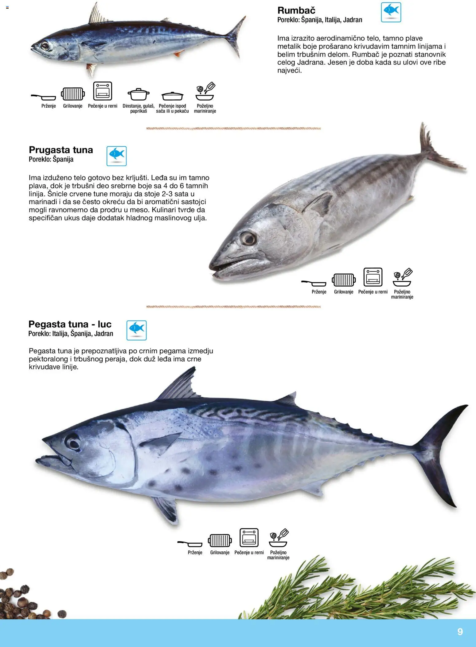 Metro katalog - važi od 10.12.2025 | Strana: 9