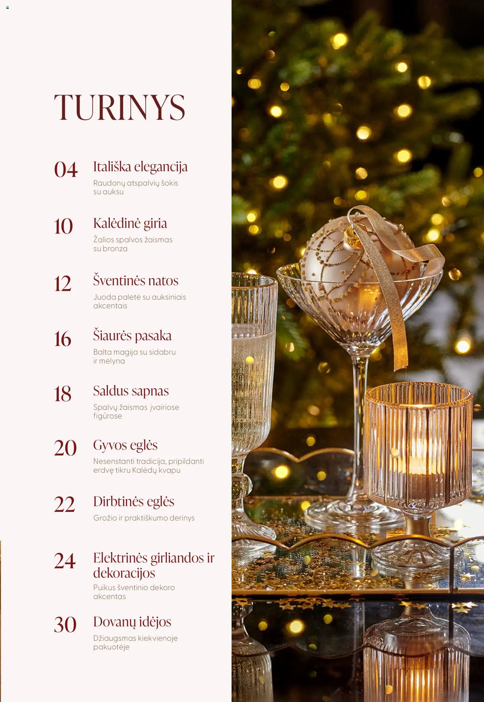 ERMITAŽAS akcijos nuo 03.11.2025 | Puslapis: 3