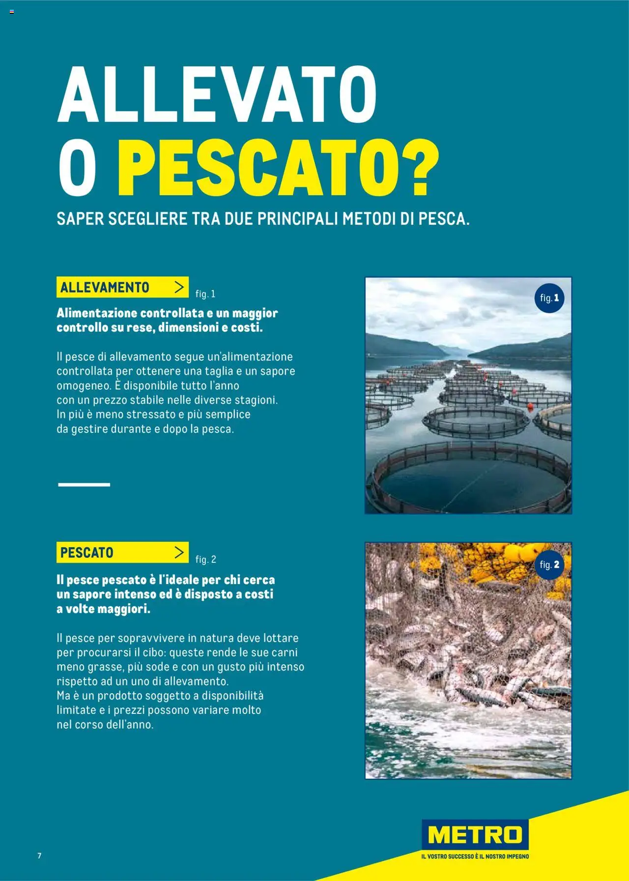 Volantino Metro del 30.06.2025 | Pagina: 7 | Prodotti: Pesce, Il pesce, Metro