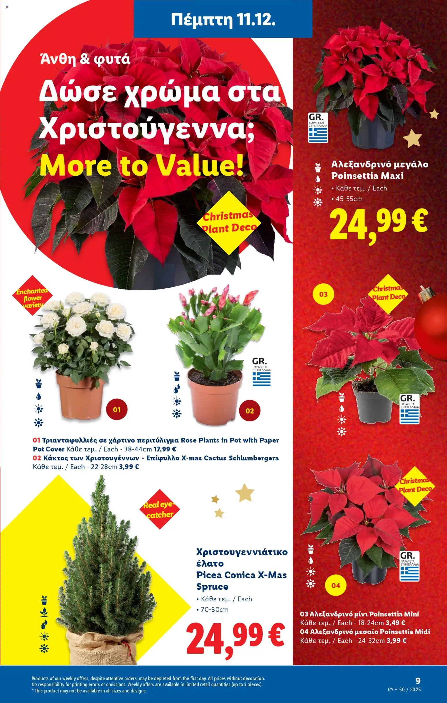 Lidl - Φυλλάδιο – σε ισχύ από 11.12.2025 | Σελίδα: 41