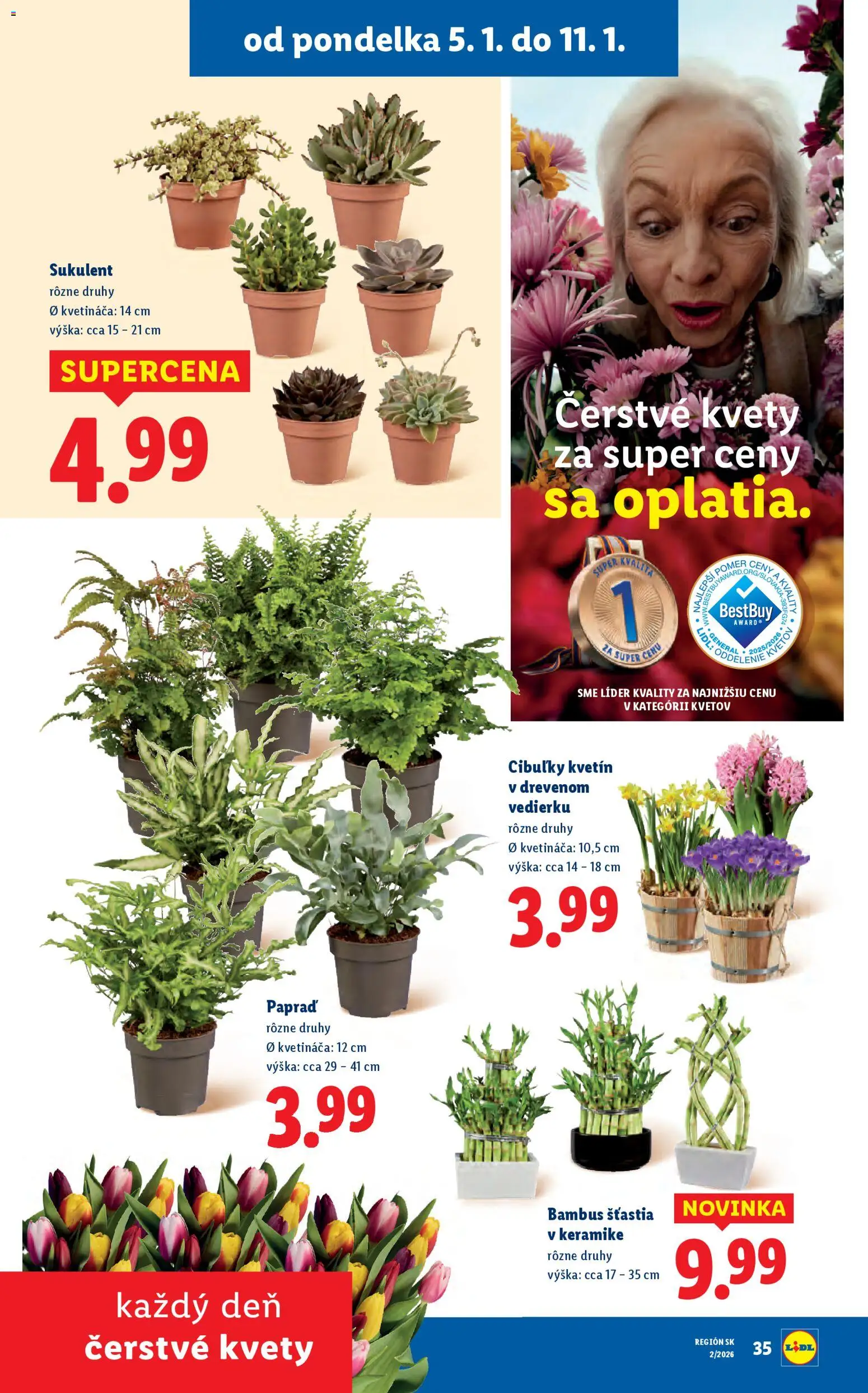 Nové Lidl akcie – leták je platný od 08.01.2026 | Strana: 89 | Produkty: Kvety