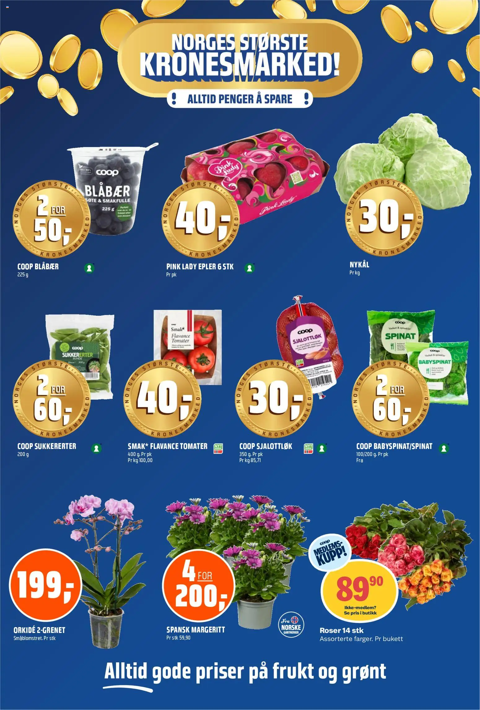 {H1} | Side: 18 | Produkter: Essuie-tout, Epler, Tomater, Blåbær